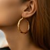 Rosecode Circle earrings female wind exaggerated personality luxury simple online celebrity earrings 2pcs