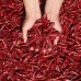 ushe Dried chili peppers Dried Chili Special Chili Perverted Chili Devil's Spice Catering Food 2KG