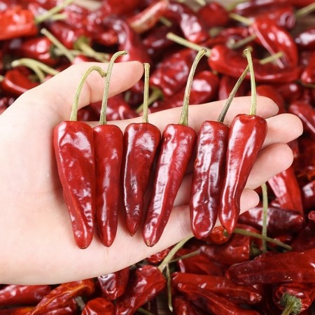 Itree Chili King Dried Chili Peppers Super Spicy Authentic Dried chili peppers Morning Glory Dried Seasoning 1KG