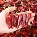 Itree Chili King Dried Chili Peppers Super Spicy Authentic Dried chili peppers Morning Glory Dried Seasoning 1KG