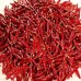 ushe Dried chili peppers Dried Chili Special Chili Perverted Chili Devil's Spice Catering Food 2KG