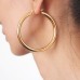 Rosecode Circle earrings female wind exaggerated personality luxury simple online celebrity earrings 2pcs